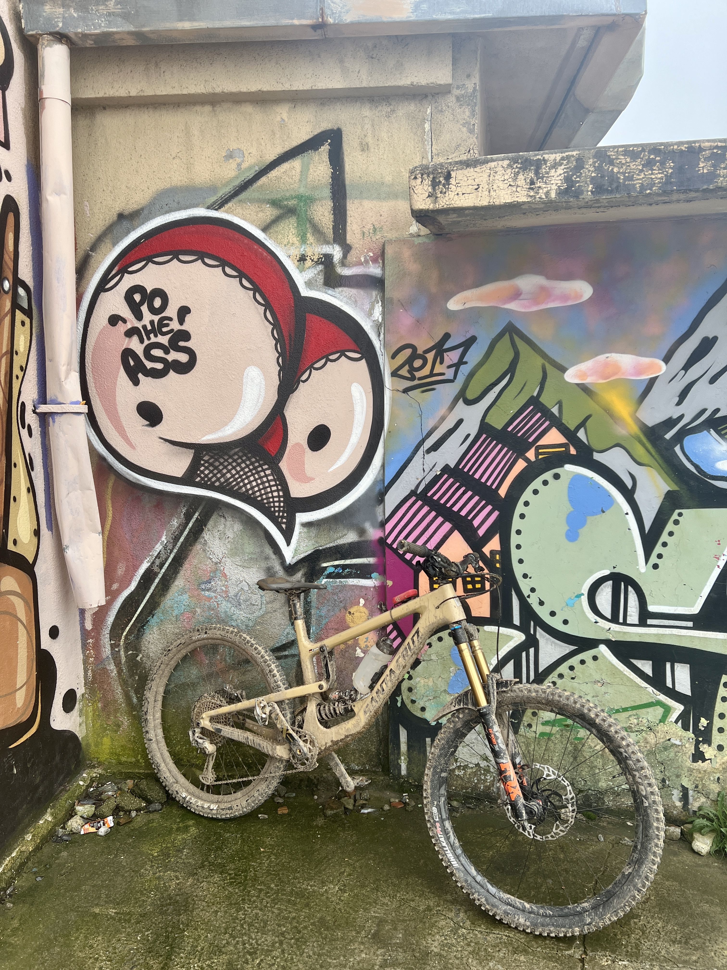 93B869D0-2443-4DD9-AF8F-1001C7327A7A.jpeg