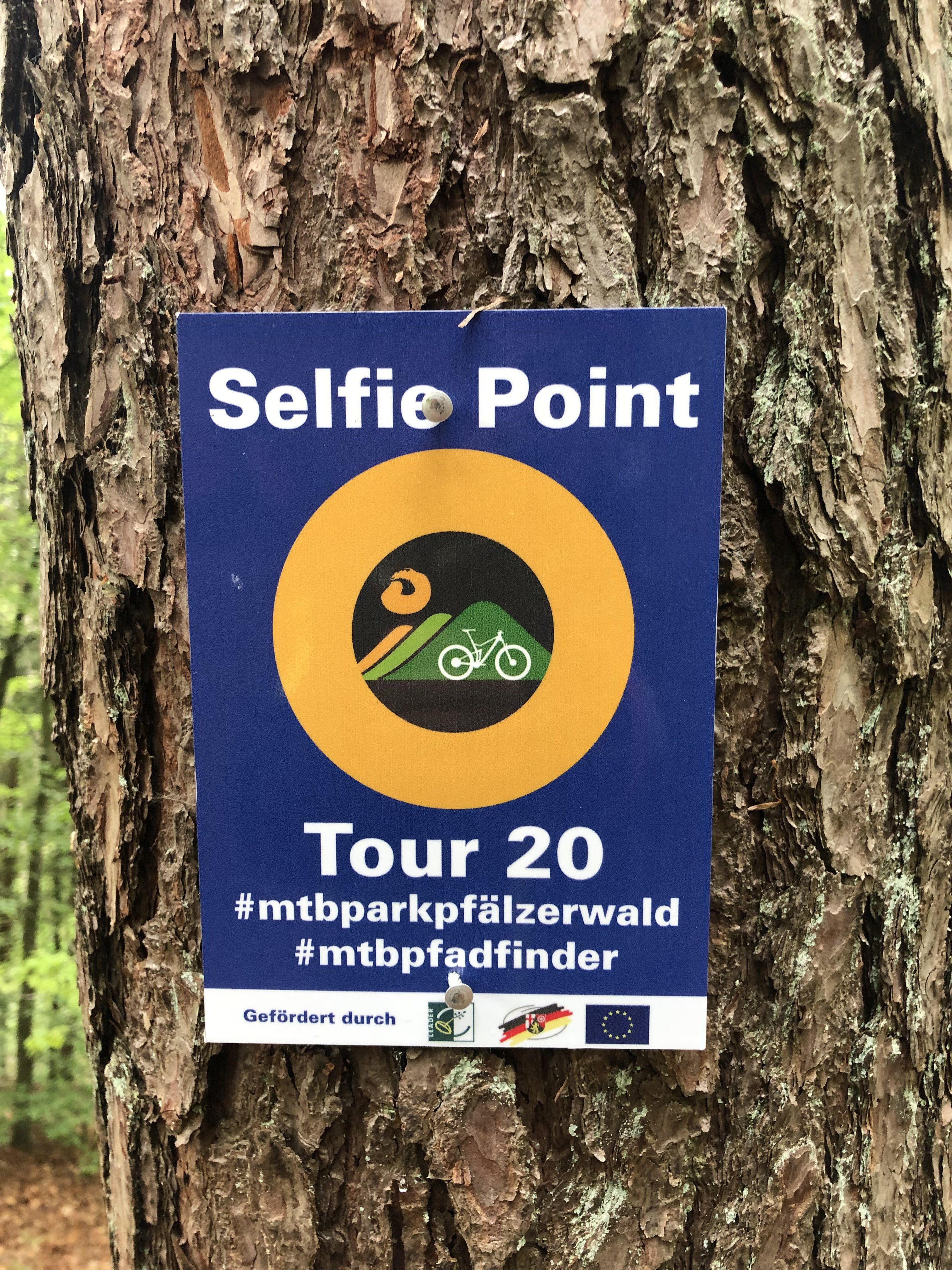 966D3E2F-6DDB-40EF-8046-F5823C5994B5.jpeg