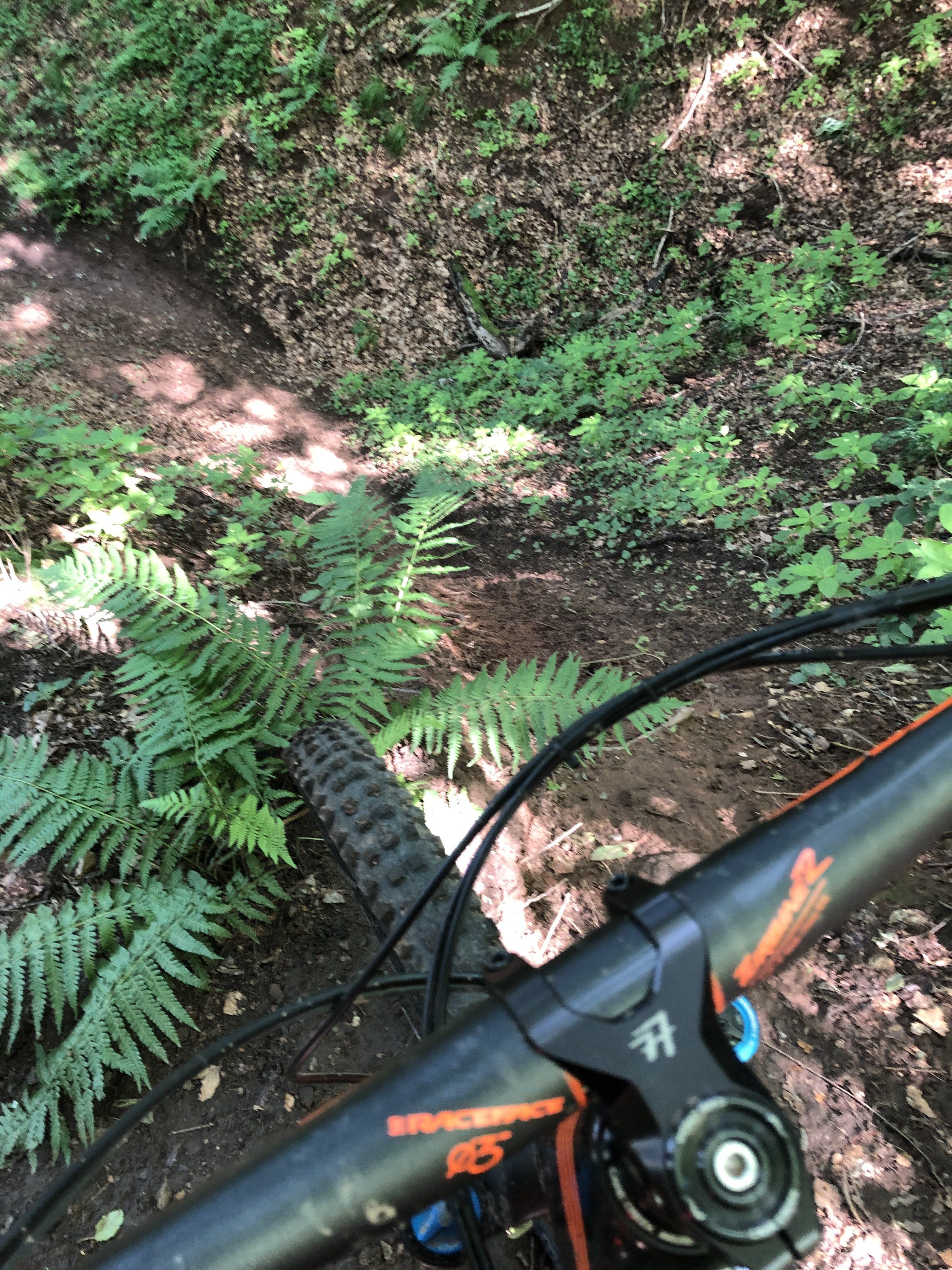 9C9630D0-C839-44AA-8E29-B46D49C1343E.jpeg
