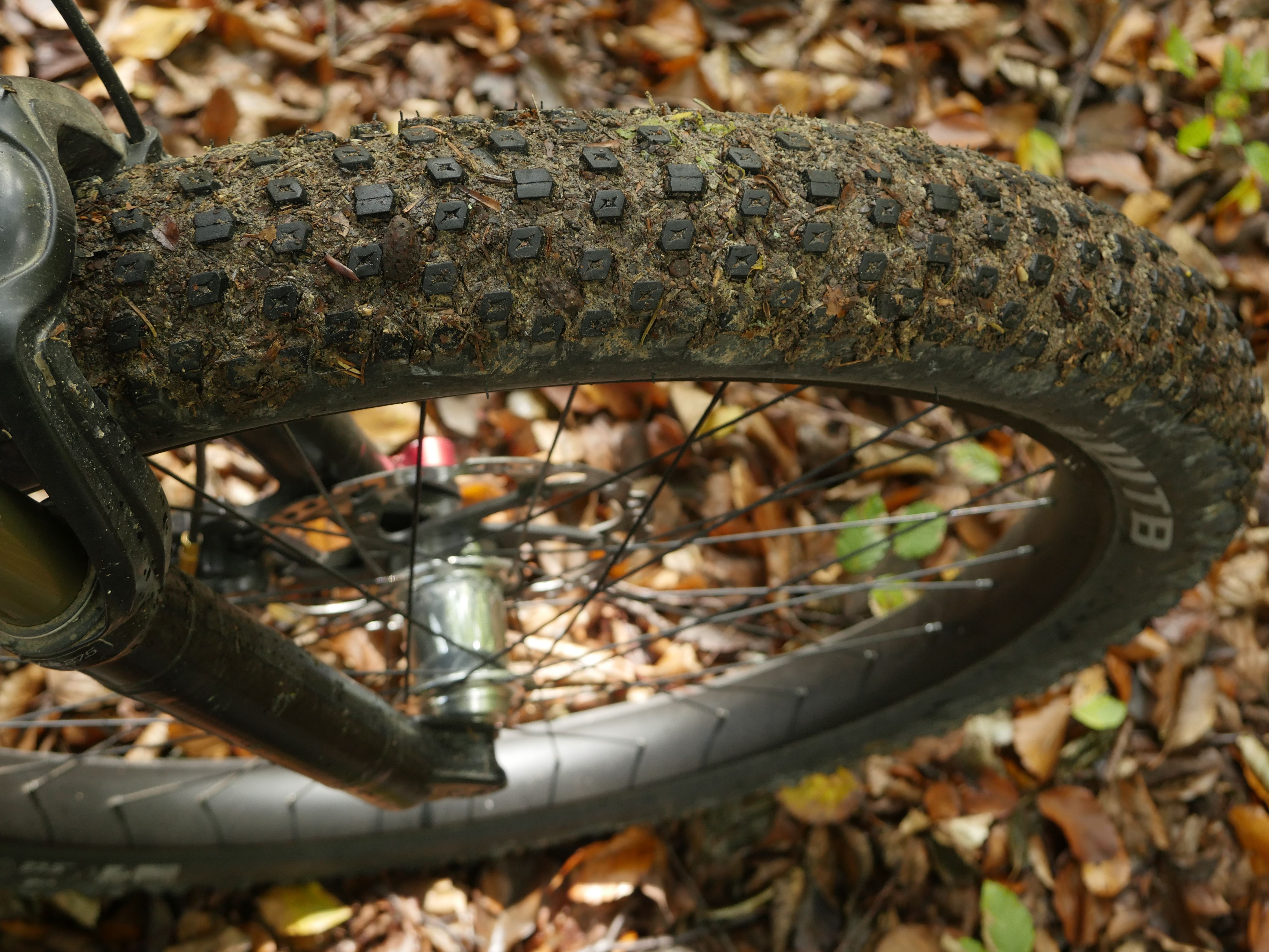 _1040201.JPG