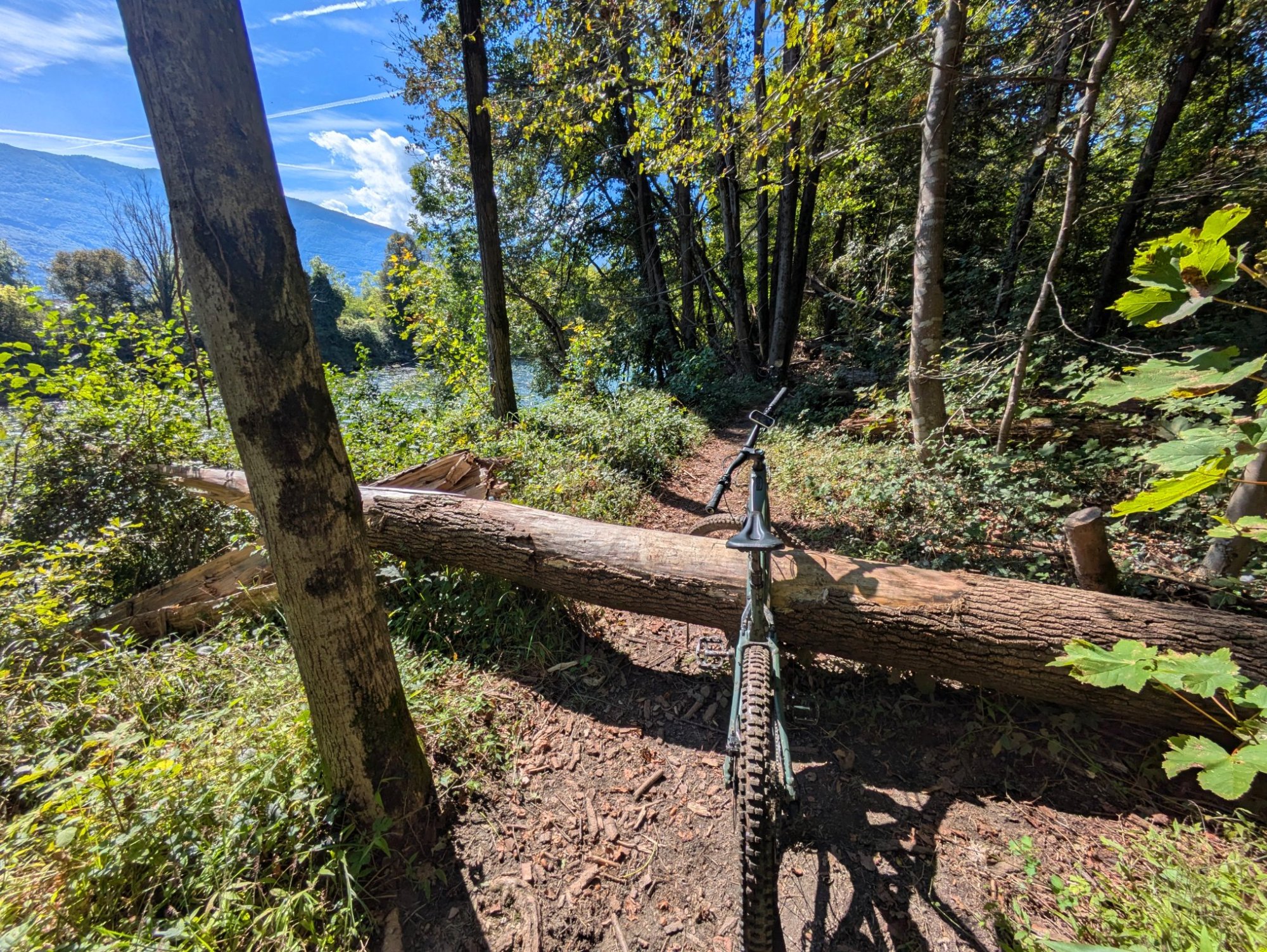 _20250914_120938536.jpg