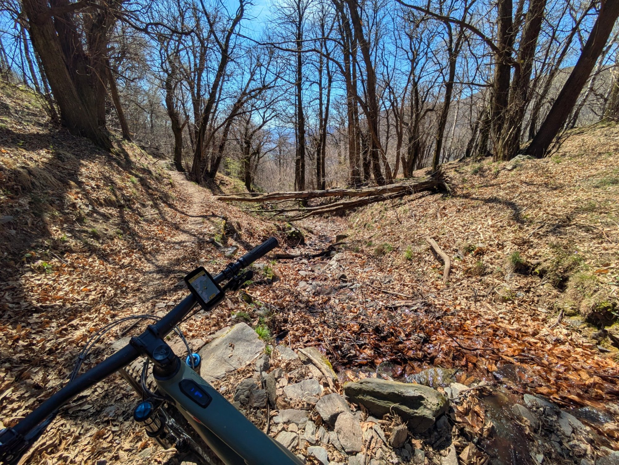 _20260404_115656718.jpg