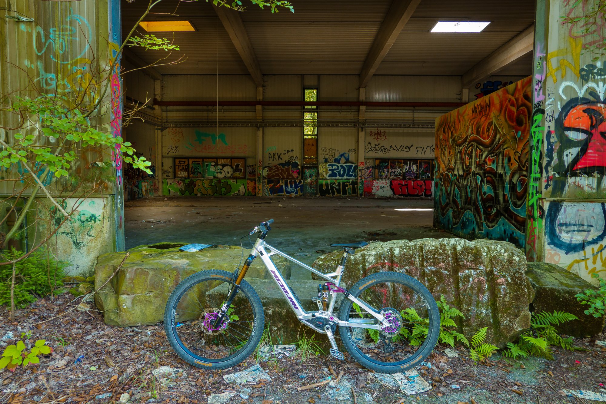 _DSC0286.jpeg