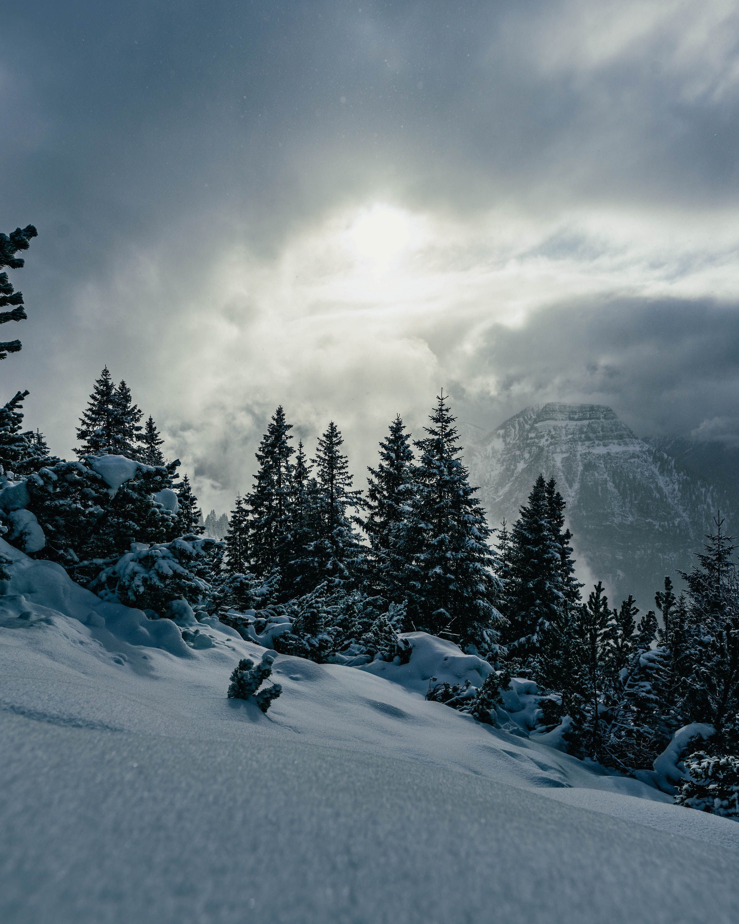 _DSC3664-HDR.jpg
