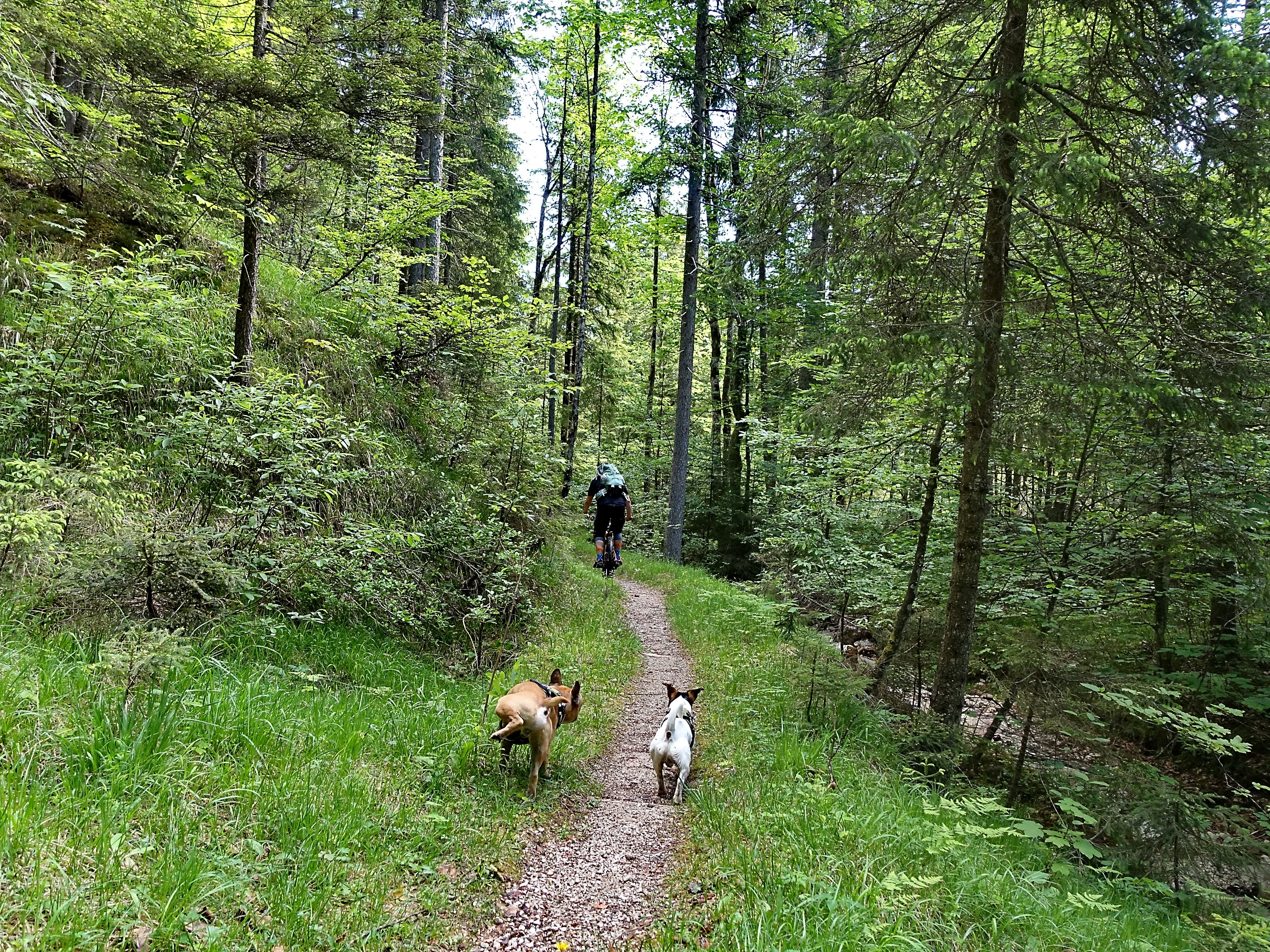Achberg 08.JPG