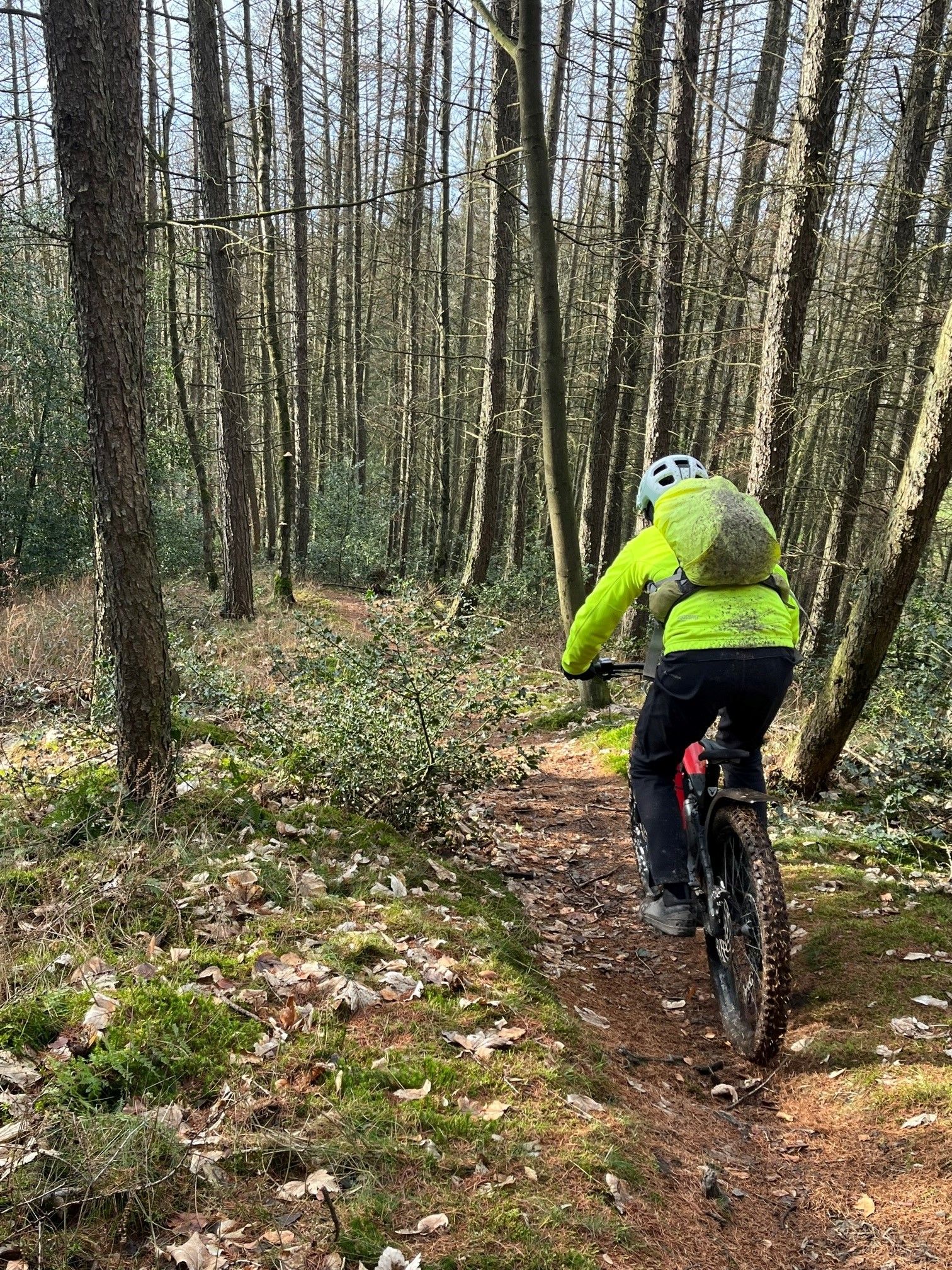 Auf dem Trail Heckansicht.jpg