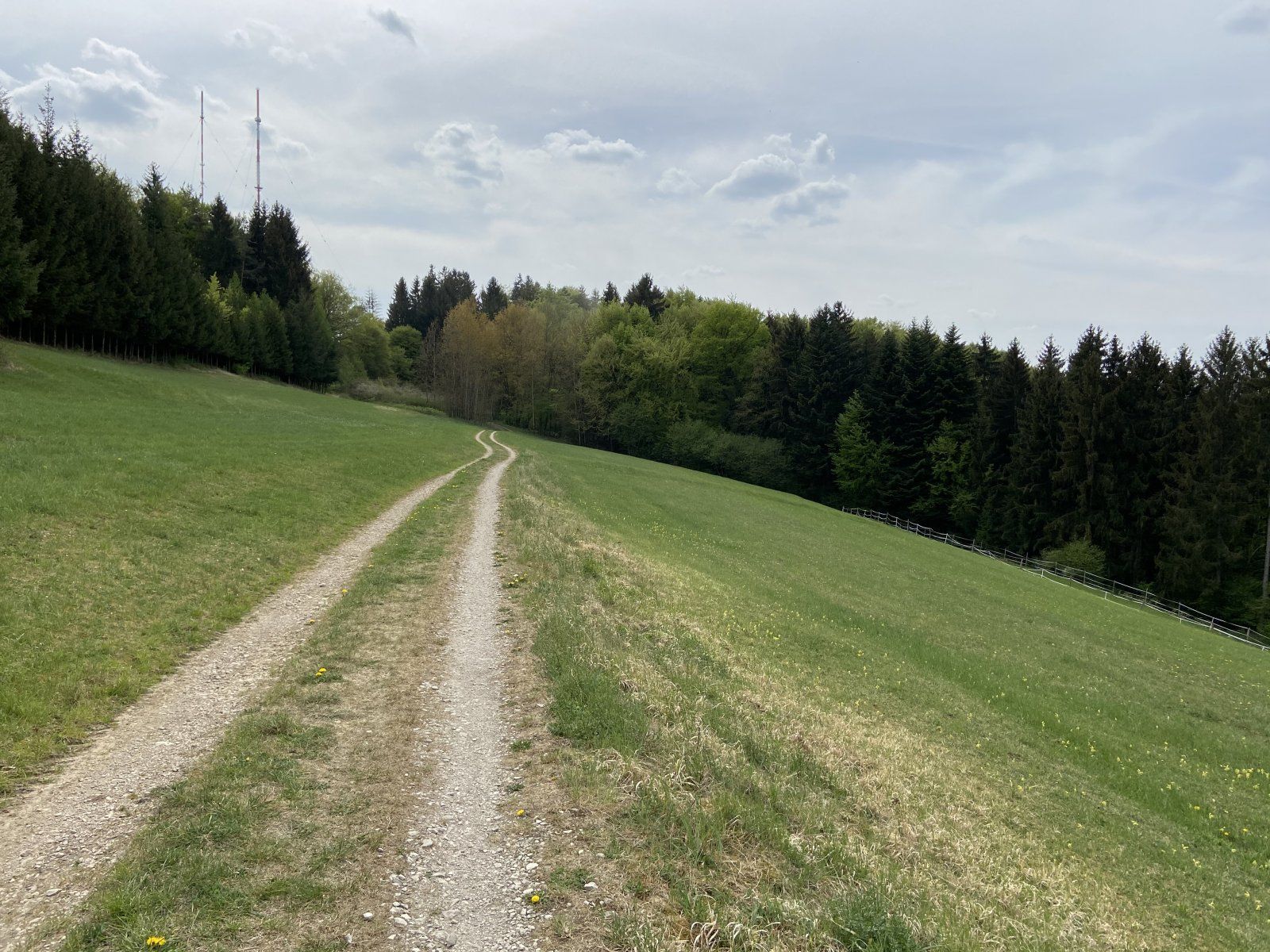 B9572E4D-827C-4B73-B56F-1BD845B4B3F7.jpeg