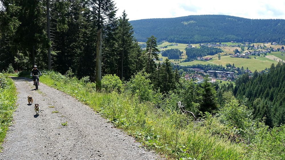 Baiersbronn_Tag2_02.JPG