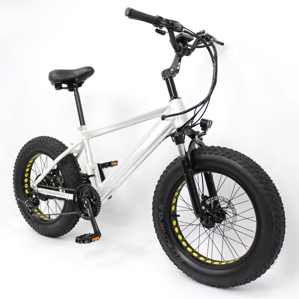 best-electric-fat-bike.jpg