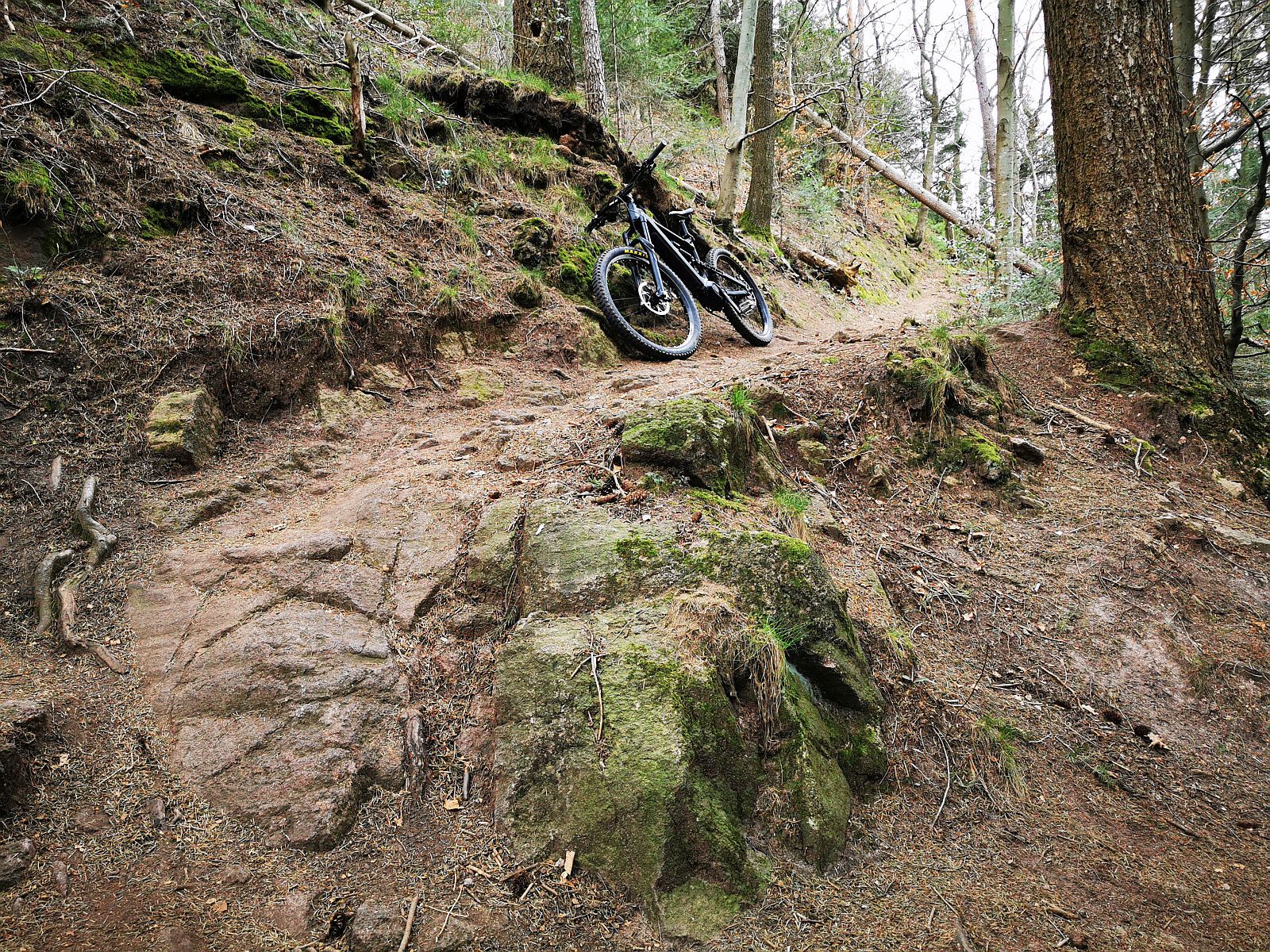 Bike1.jpg