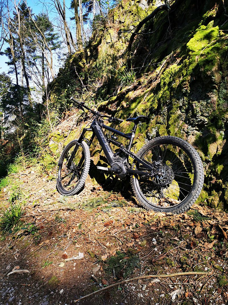 Bike1.jpg