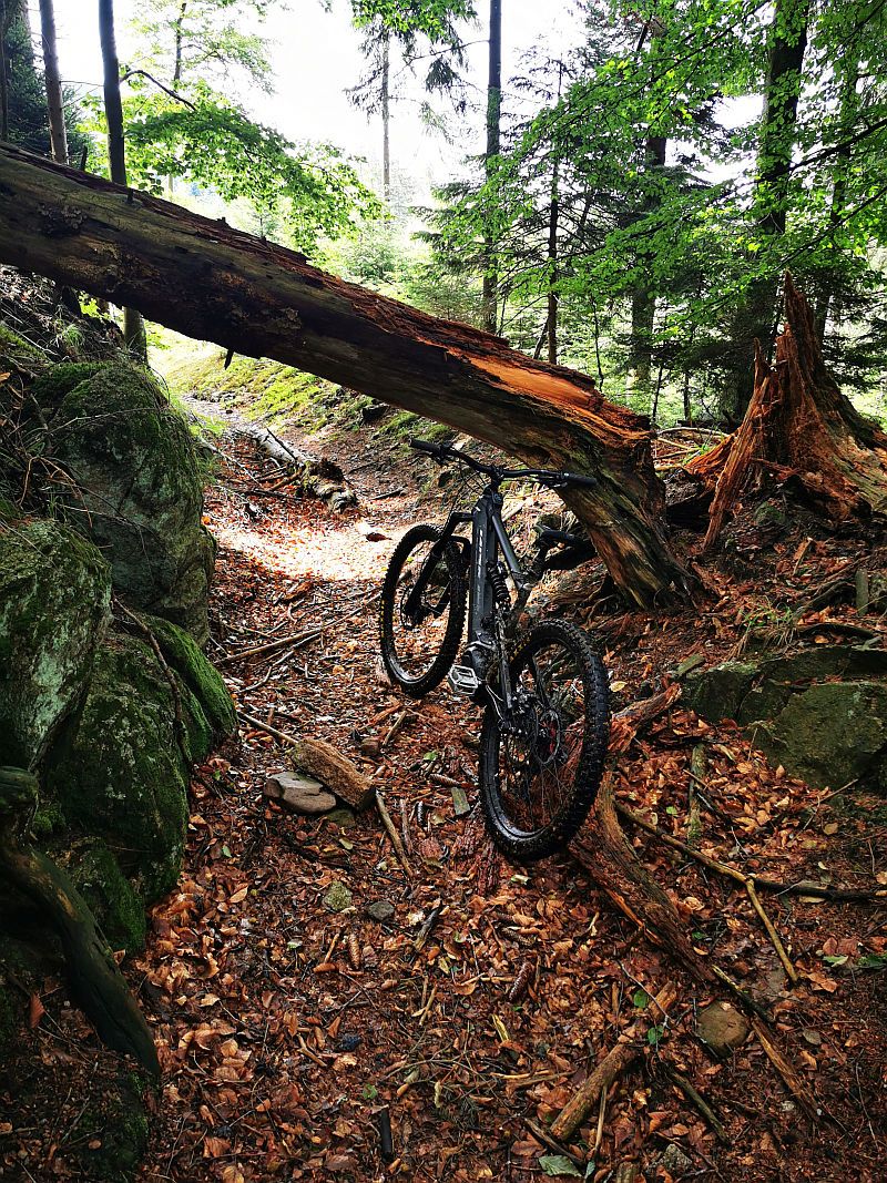 Bike108.jpg