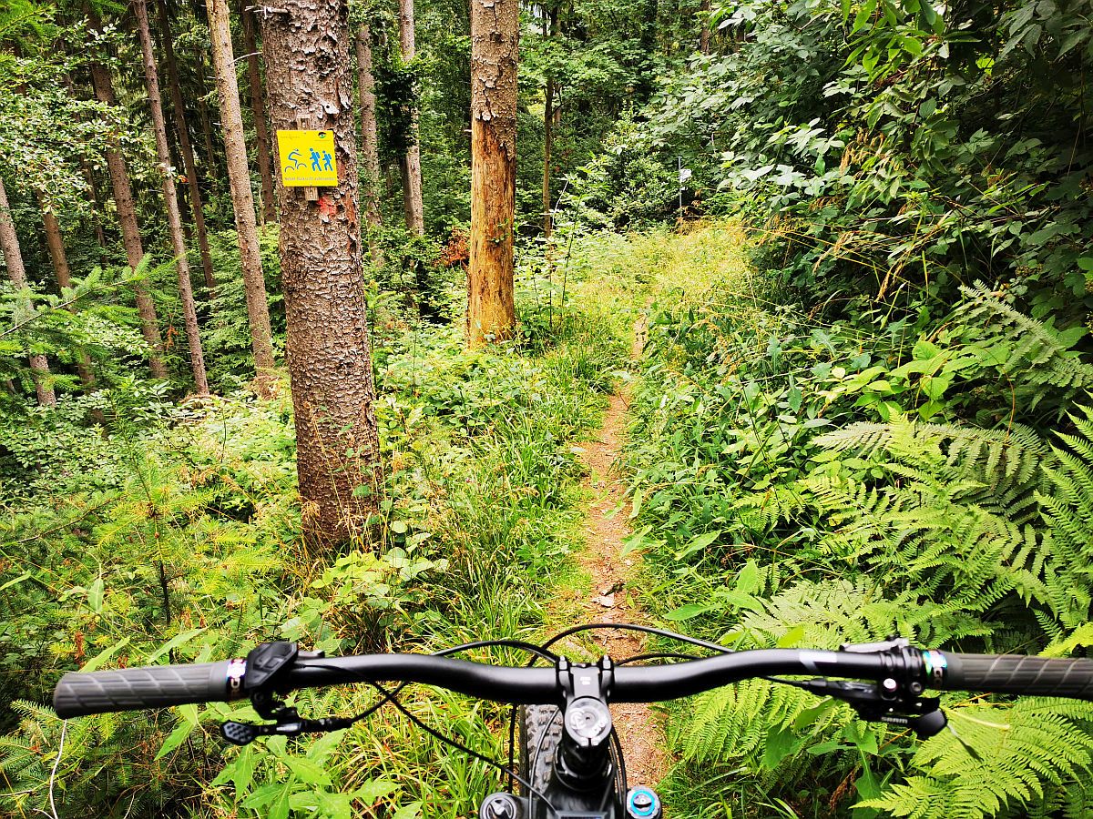 Bike113.jpg