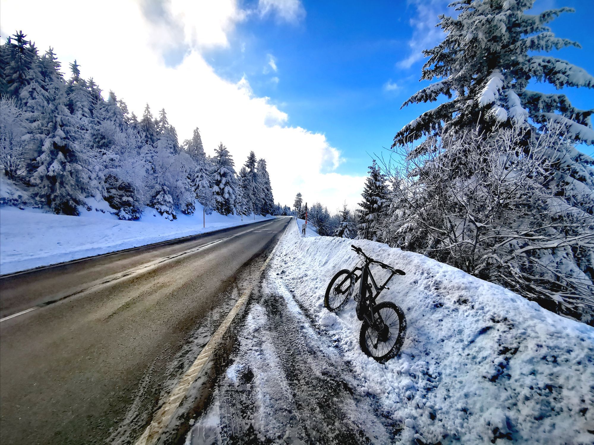 Bike17.jpg