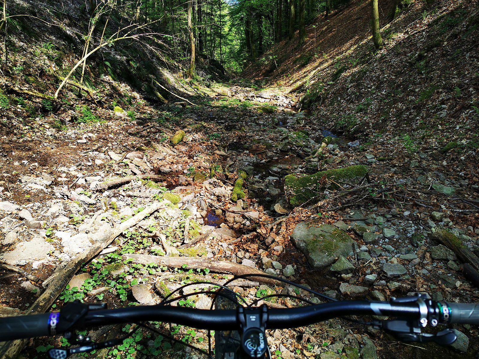 Bike24.jpg