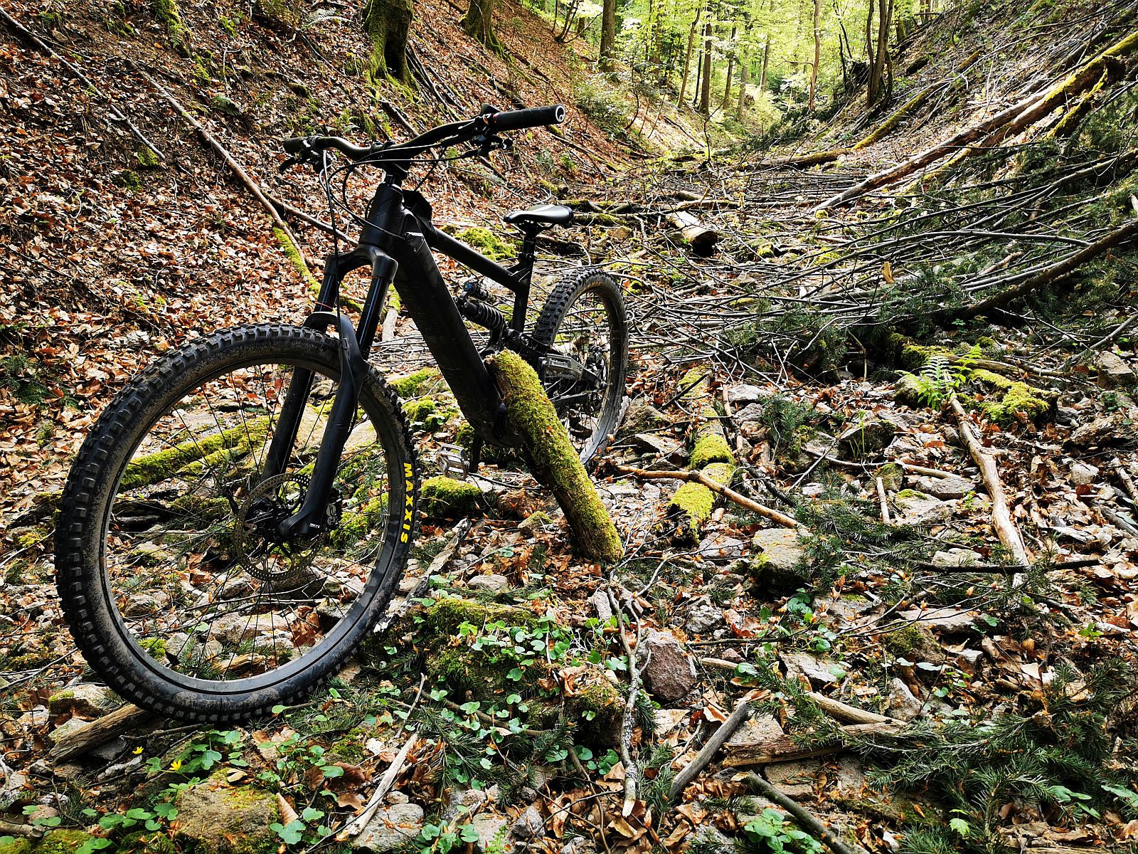 Bike26.jpg