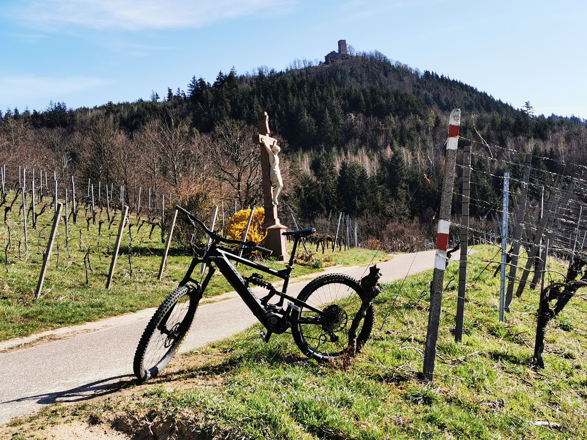 Bike33.jpg