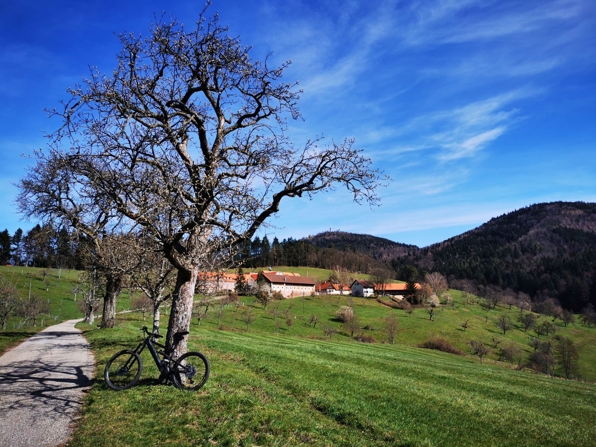 Bike34.jpg