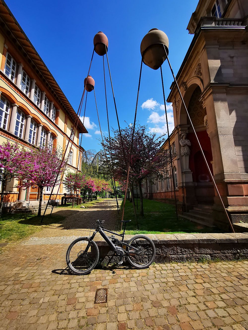 Bike37.jpg