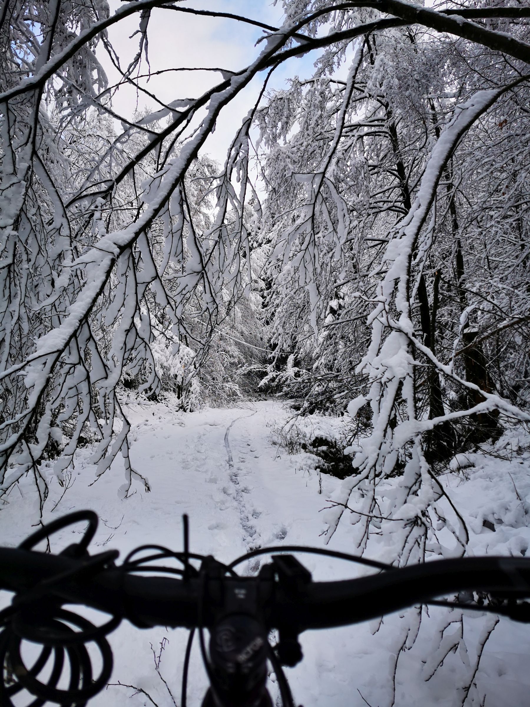 Bike5.jpg
