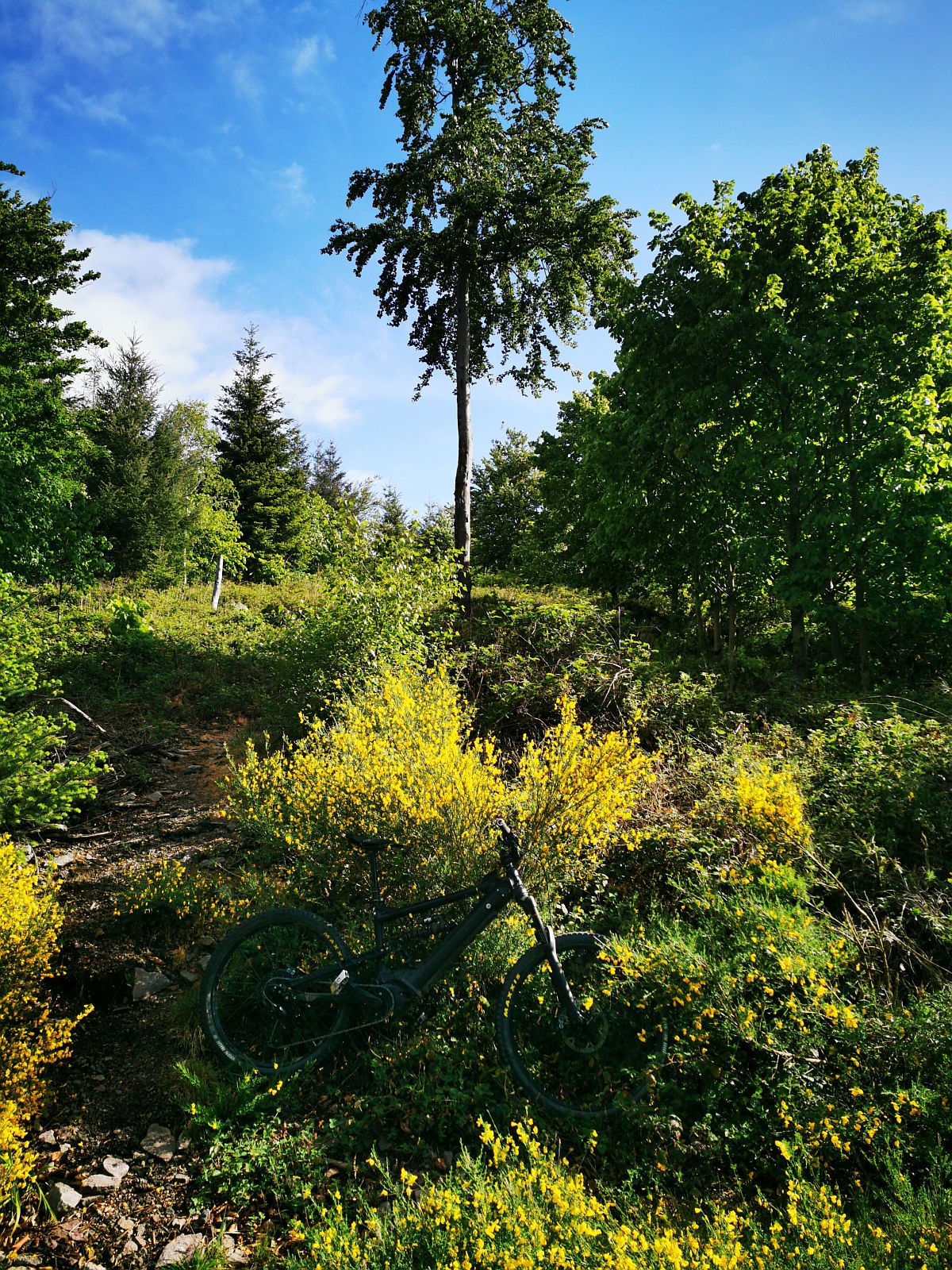 Bike53.jpg