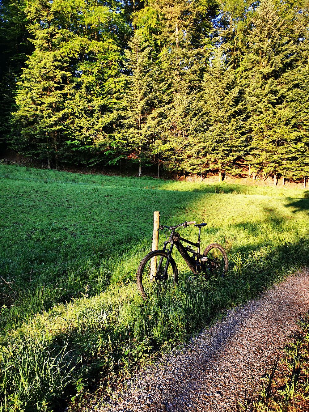 Bike54.jpg
