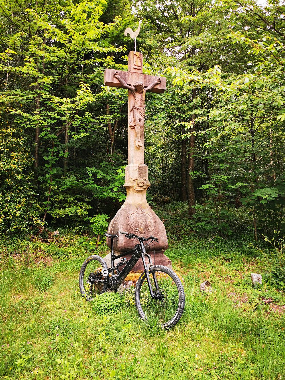 Bike59.jpg