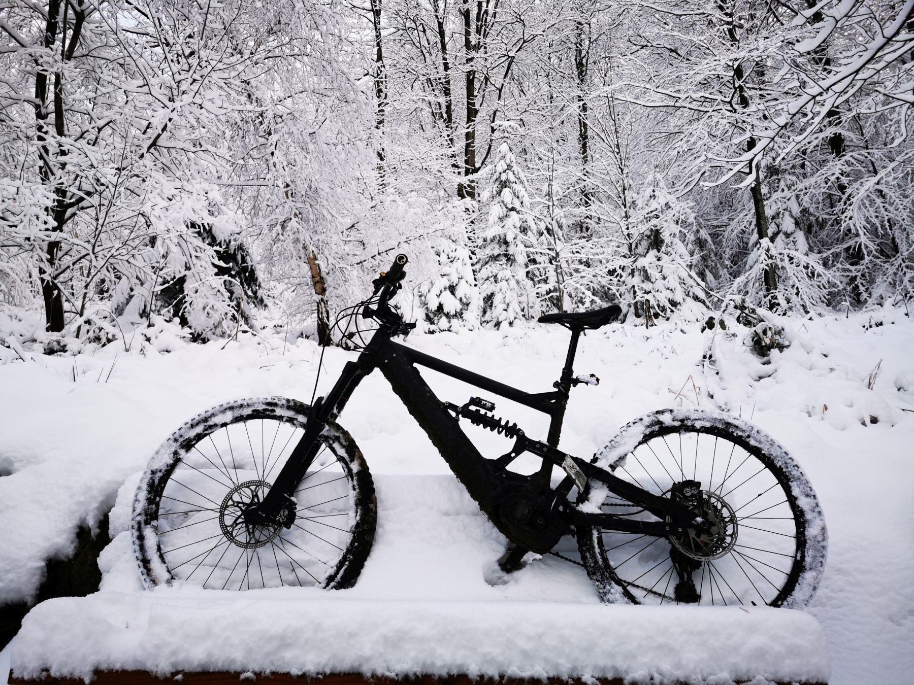 Bike6.jpg