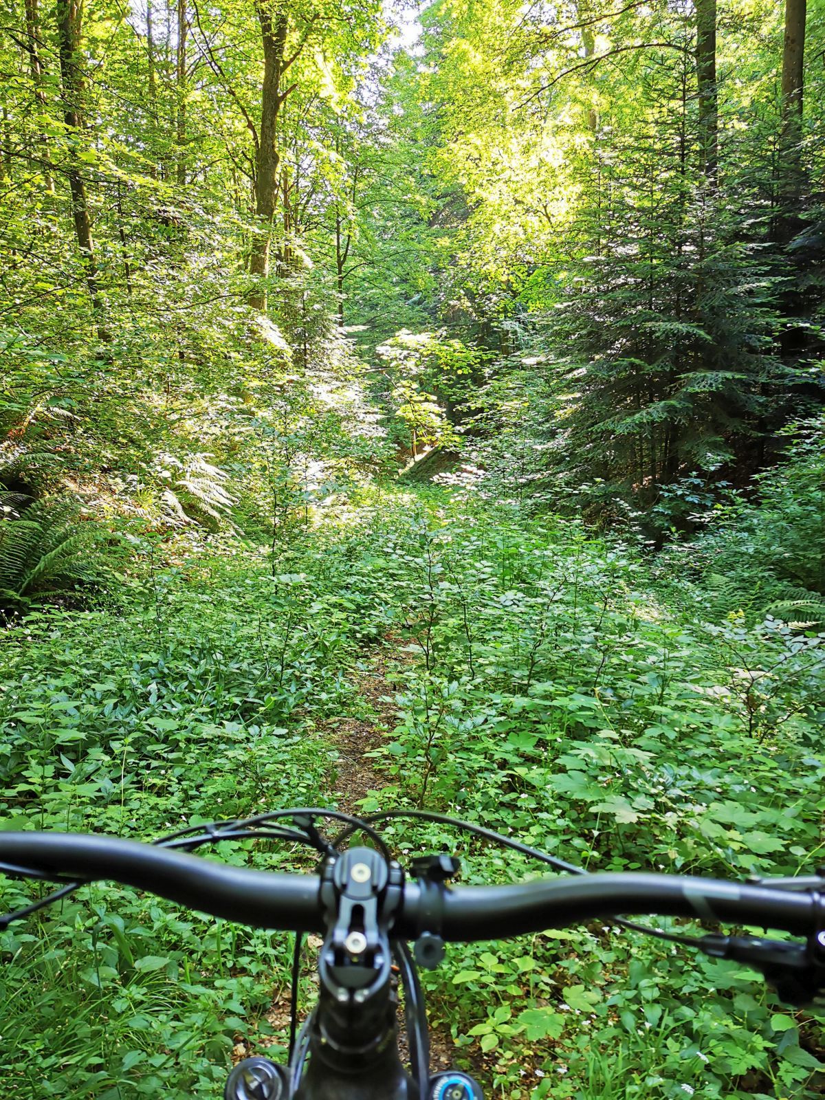 Bike6o.jpg