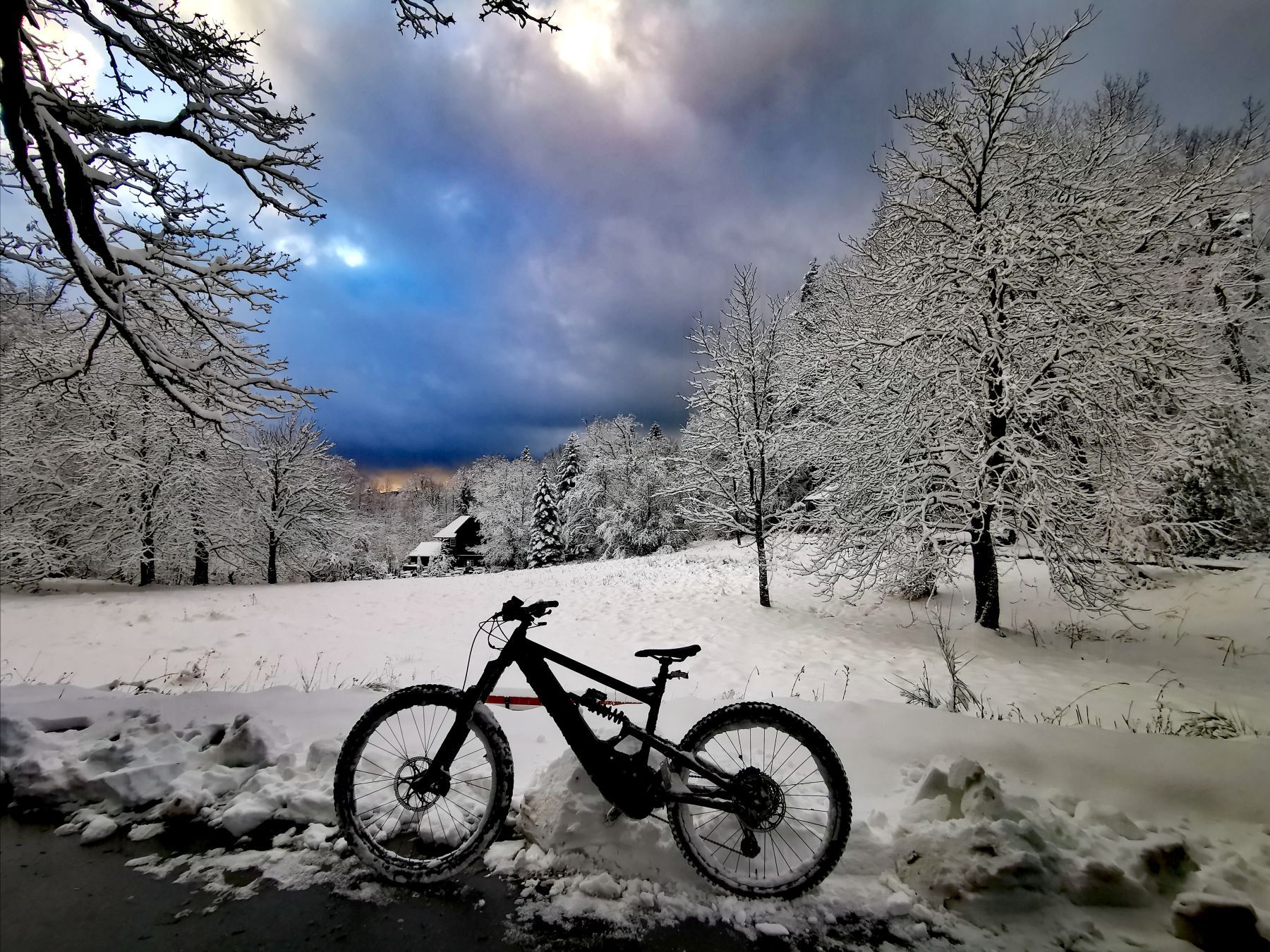 Bike7.jpg