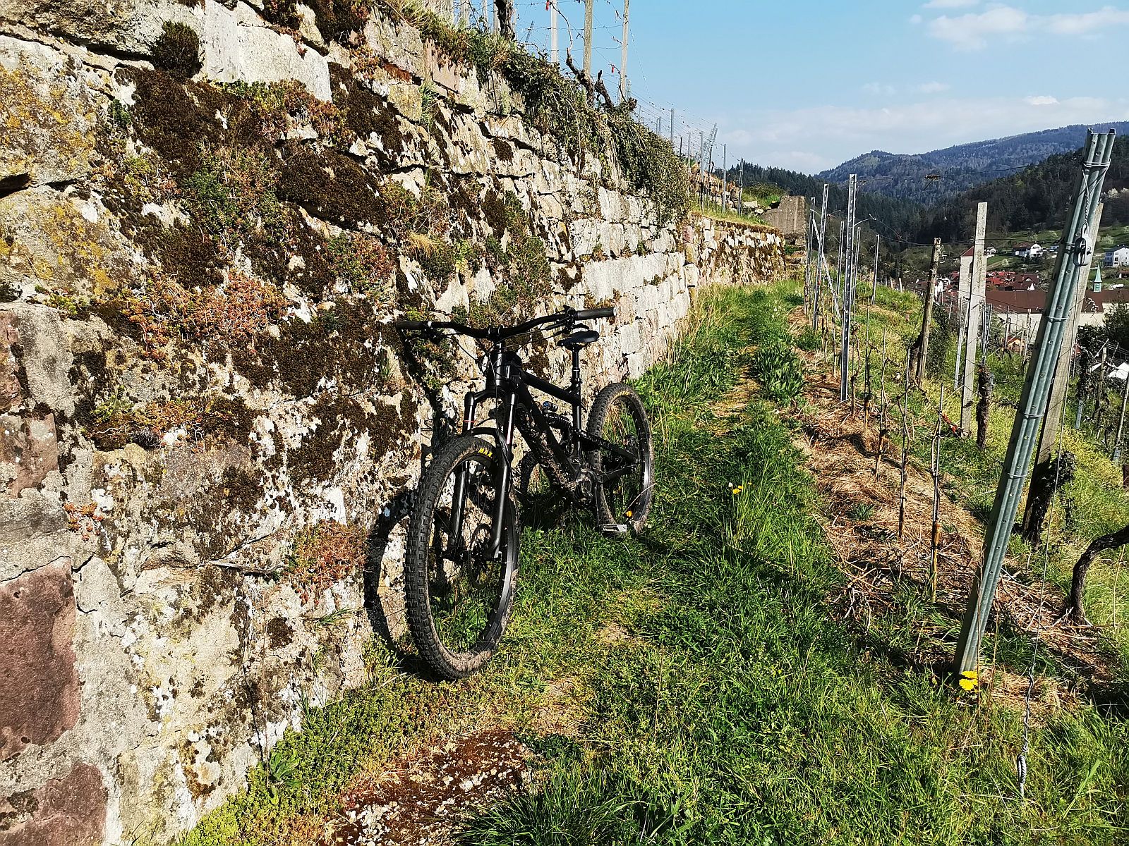 Bike8.jpg
