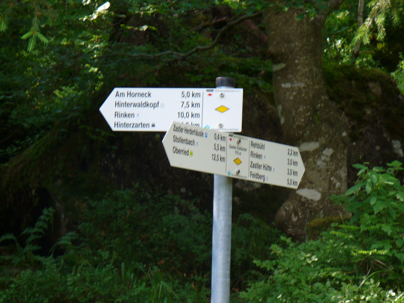 Biken-Schwarzwald-14bis17072005 025.jpg