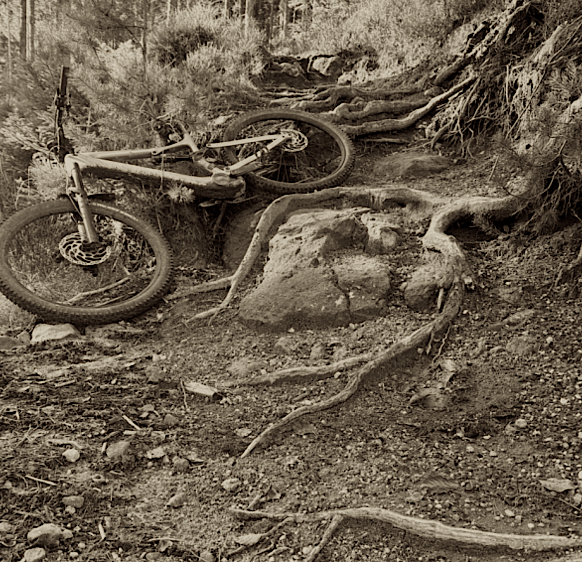 Bildschirmfoto 2026-01-03 um 15.42.44.png