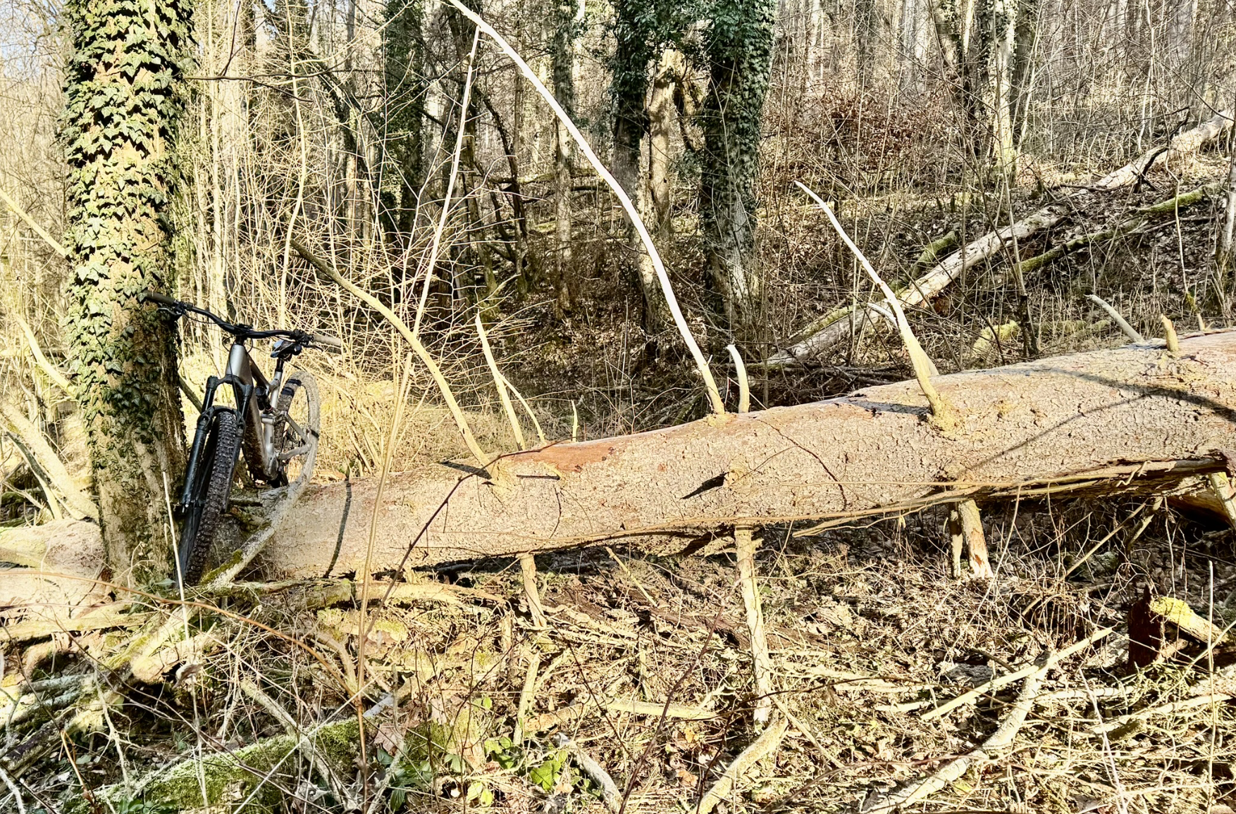 Bildschirmfoto 2026-01-21 um 19.15.09.png