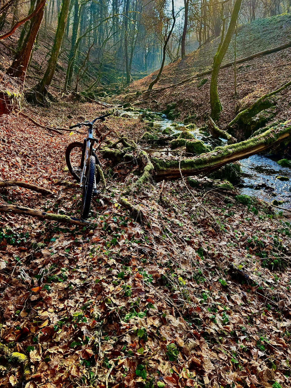 Bildschirmfoto 2026-01-21 um 19.15.21.png