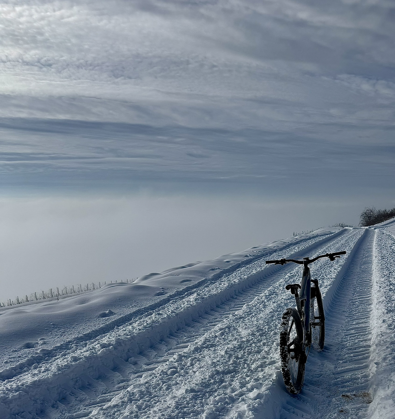 Bildschirmfoto 2026-01-27 um 15.19.21.png