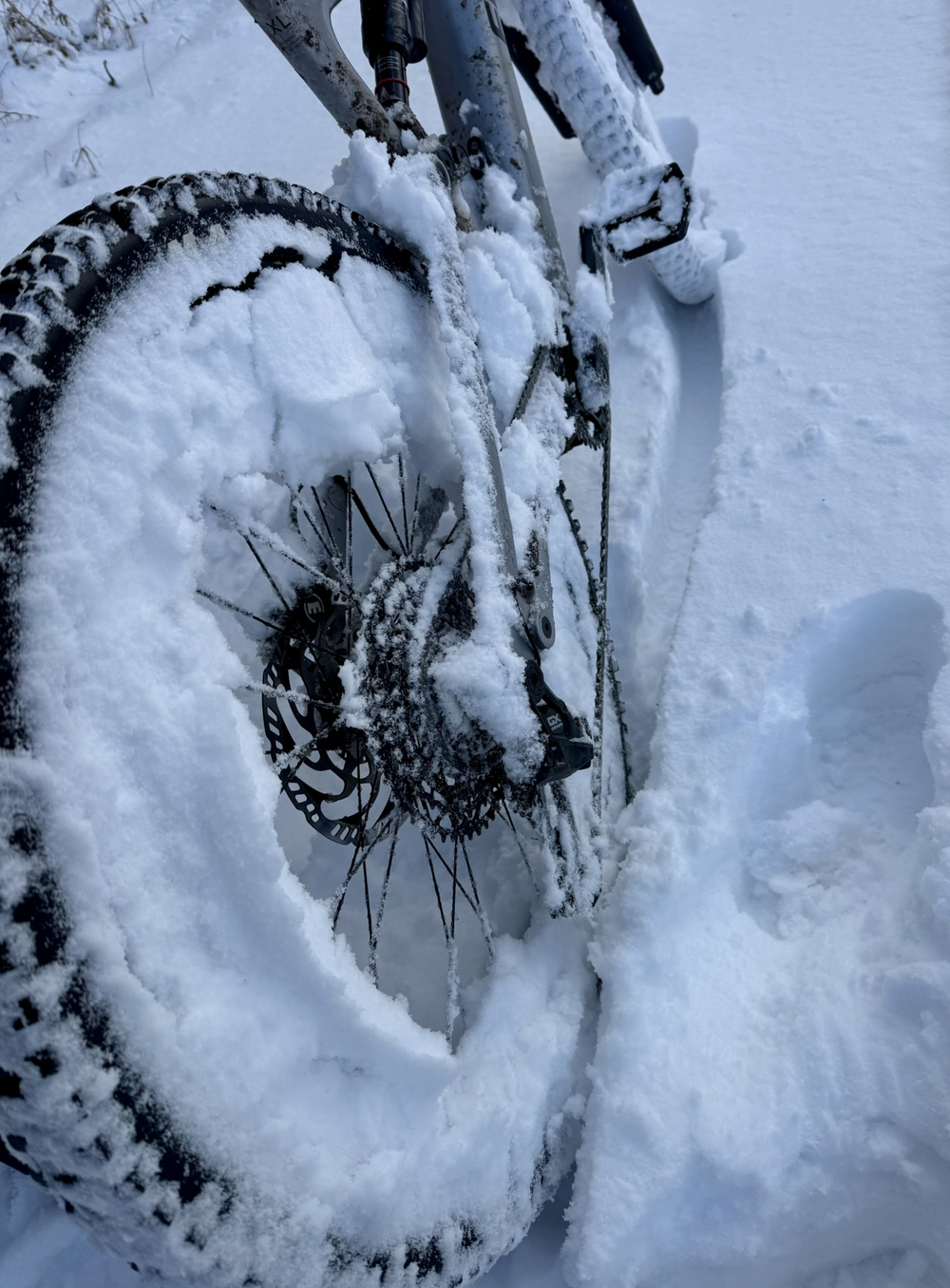 Bildschirmfoto 2026-01-27 um 15.19.55.png