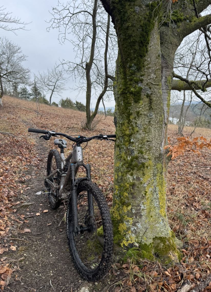 Bildschirmfoto 2026-02-08 um 12.51.34.png