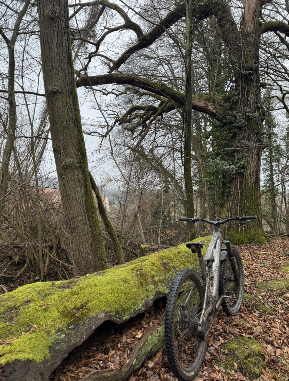 Bildschirmfoto 2026-02-08 um 12.51.48.png