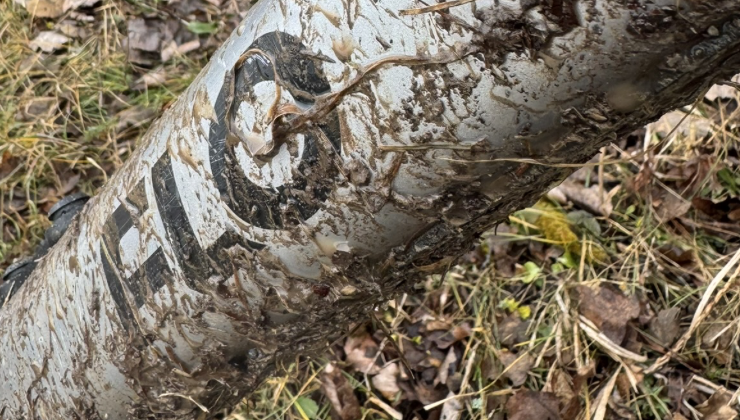 Bildschirmfoto 2026-02-08 um 12.52.33.png