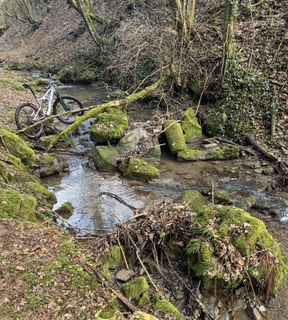 Bildschirmfoto 2026-02-09 um 12.44.58.png