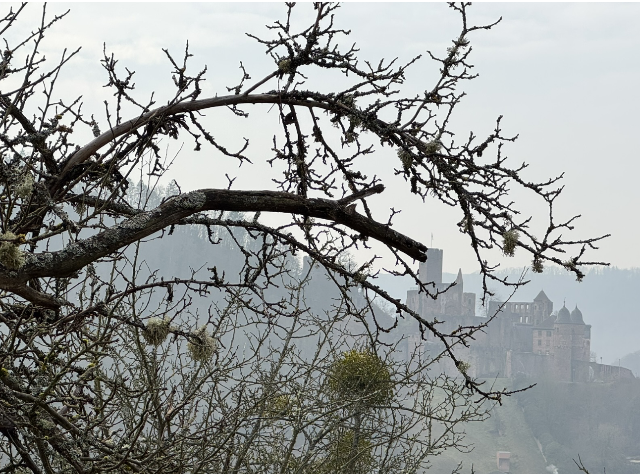 Bildschirmfoto 2026-02-10 um 14.45.56.png