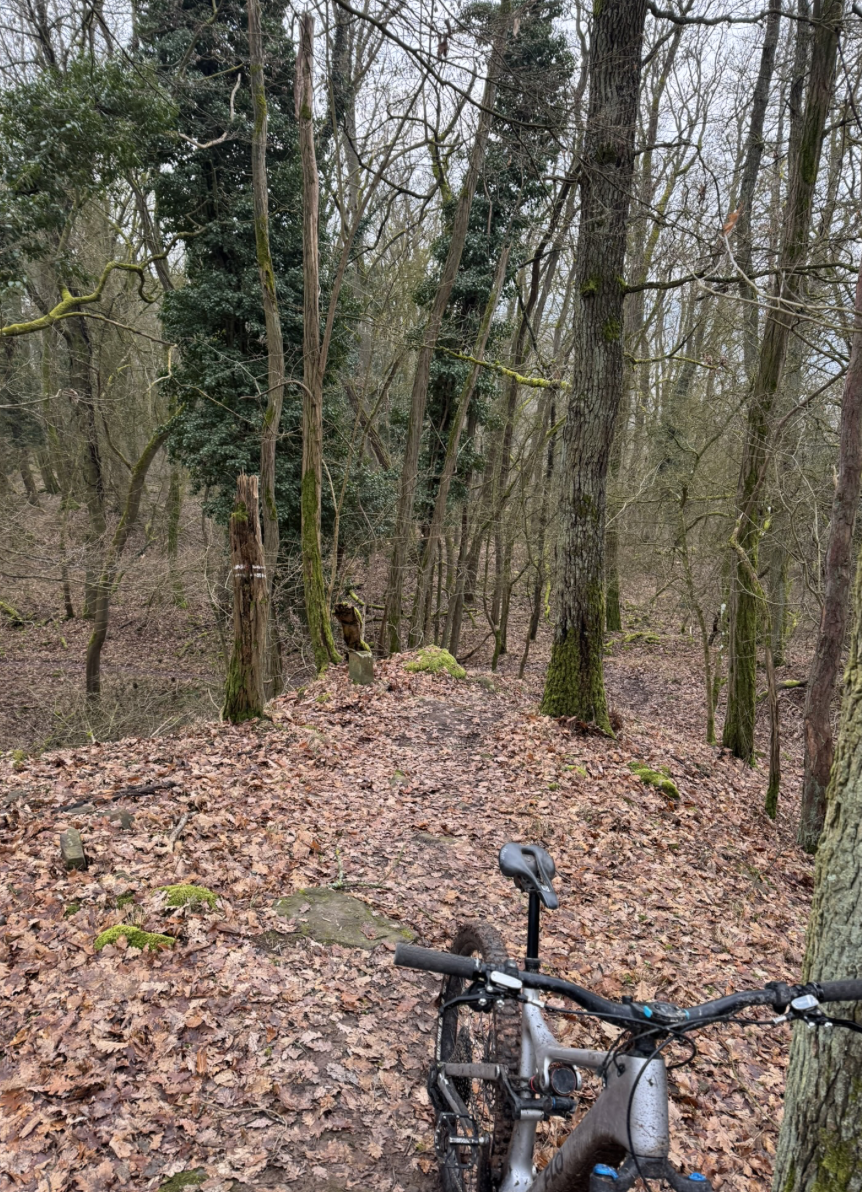 Bildschirmfoto 2026-02-10 um 14.51.03.png