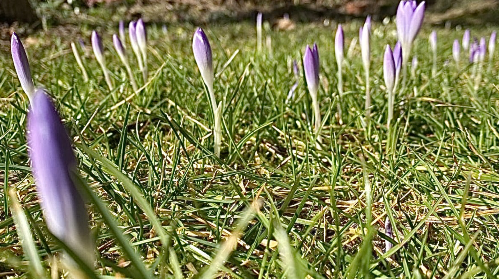 Bildschirmfoto 2026-02-15 um 14.45.20.png