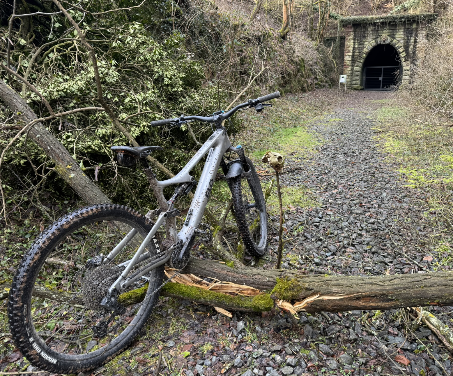 Bildschirmfoto 2026-02-18 um 17.24.45.png