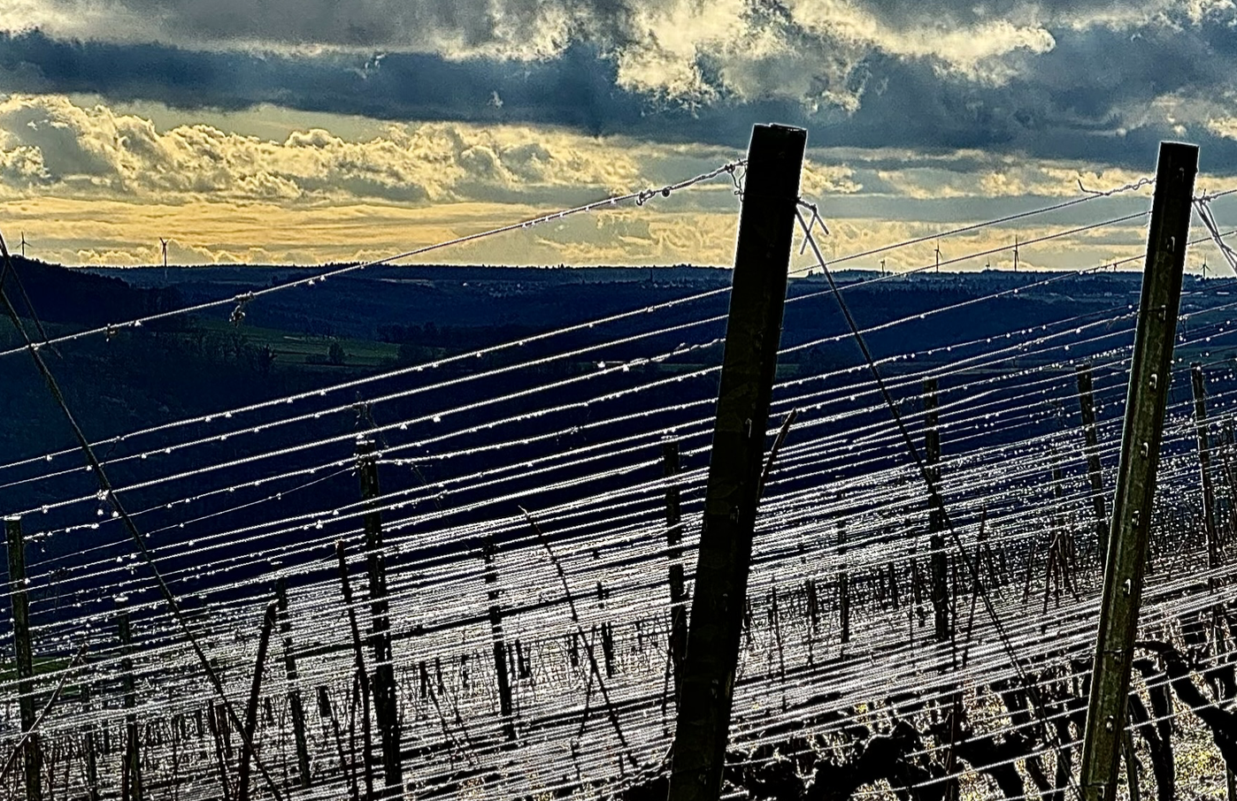 Bildschirmfoto 2026-02-18 um 21.08.01.png