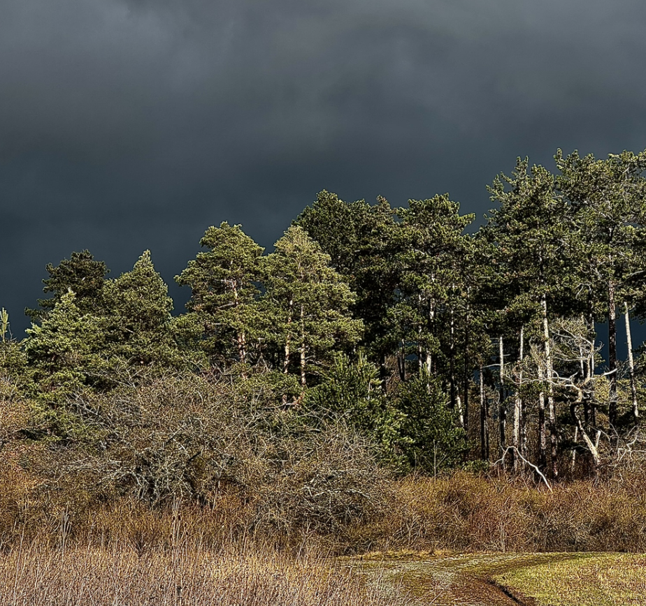 Bildschirmfoto 2026-02-18 um 21.08.12.png