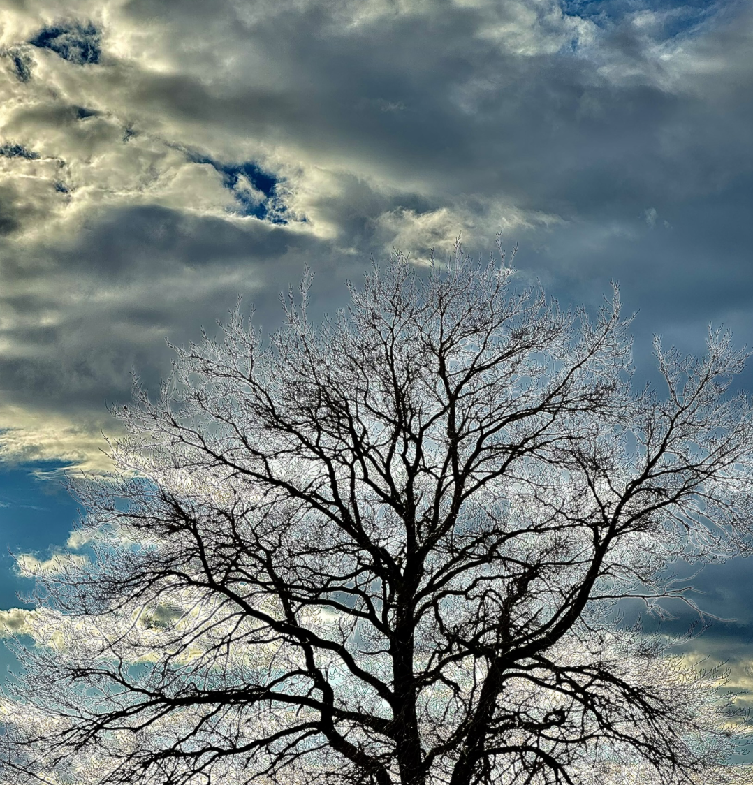 Bildschirmfoto 2026-02-18 um 21.08.22.png