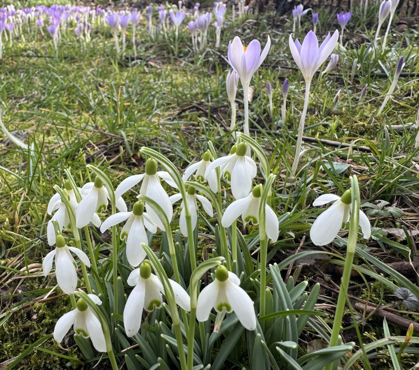 Bildschirmfoto 2026-02-23 um 16.47.50.png