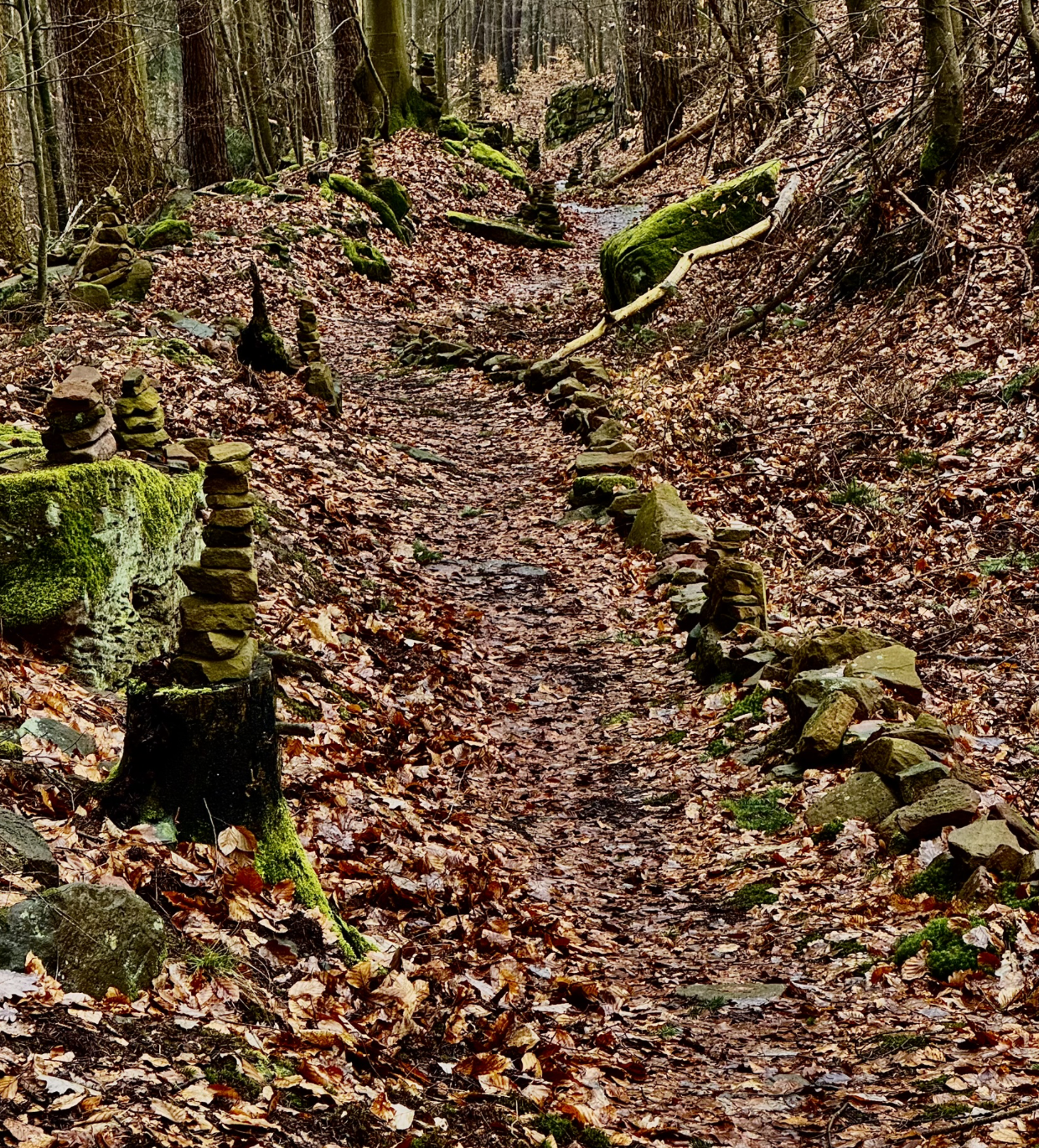 Bildschirmfoto 2026-02-25 um 13.34.45.png